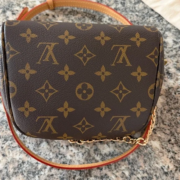 Louis Vuitton Mini Bum Bag - Picture 7 of 16